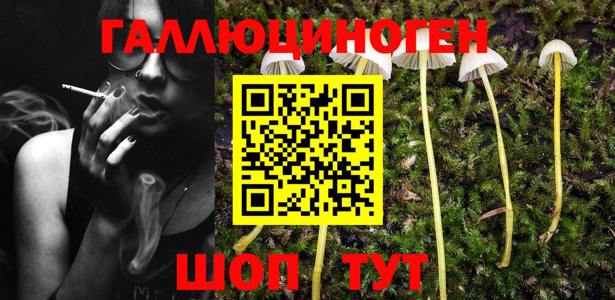 Махачкала  где найти наркотики  Вход с VPN  Псилоцибиновые грибы Magic Shrooms 
